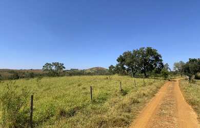 Imagem 1: Fazenda 705 ha ou 291,32 alq paulista em Presidente Olegário MG
