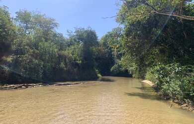 Imagem 14: Fazenda 705 ha ou 291,32 alq paulista em Presidente Olegário MG