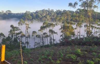 Imagem 13: Terreno em Santa Teresa. 1.220m² de Área