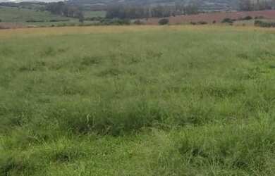 Imagem 9: VENDO FAZENDA DE 900 HECTARES EM CAÇAPAVA RIO GRANDE DO SUL