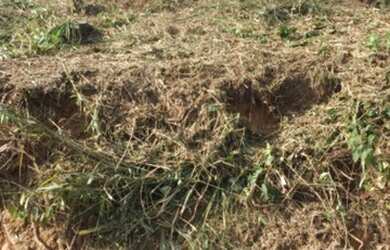 Imagem 5: Venda. 180m² de Área