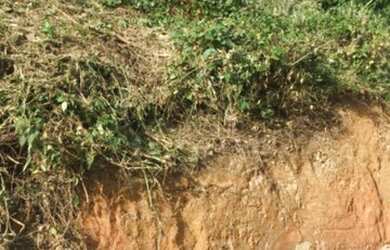 Imagem 4: Venda. 180m² de Área