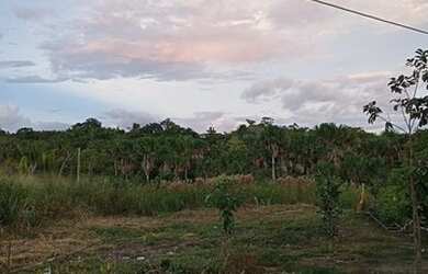 Imagem: A chácara está localizado em Alto Alegre, RR à venda por