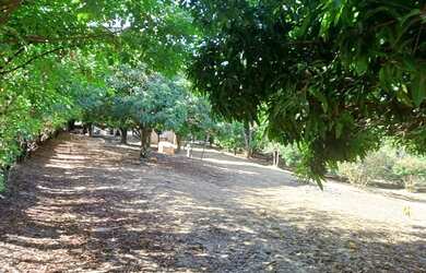 Imagem: A chácara possui 2.000m² de Área e está localizado em Jardim