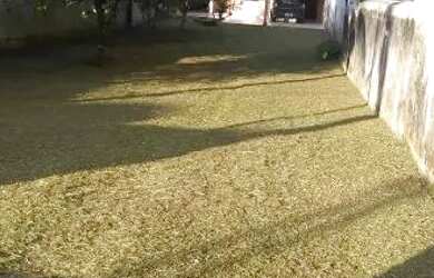 Imagem 4: Casa em Sertão do Taquari Paraty