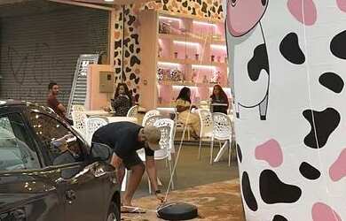 Imagem 2: Repasse Franquia Milky moo