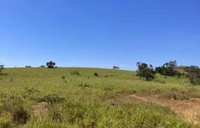Imagem 2: Fazenda 705 ha ou 291,32 alq paulista em Presidente Olegário MG