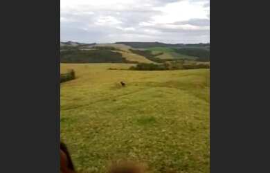 Imagem 6: Fazenda curiuva parana