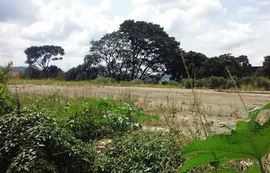 Imagem 3: Terreno à venda, 5350 m² por R$ 7.000.000,00 - Chácara do Solar I Fazendinha...