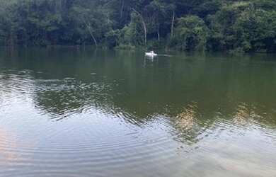 Imagem: A fazenda possui 1m² de Área e está localizado em Setor