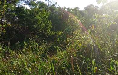 Imagem 7: Vende ou troca. 