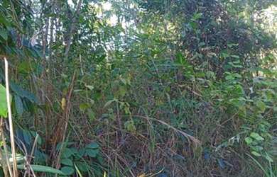 Imagem 5: Vende ou troca. 