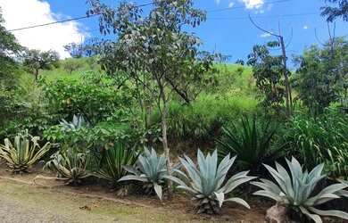 Imagem 3: Lote 1.000m² Jardim Pirineus ao Lado do Clube Minas Country