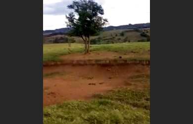 Imagem 5: Fazenda curiuva parana