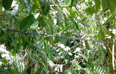 Imagem 3: Vendo uma casa. 1 Banheiroe2 Dormitórios