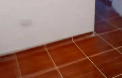 Imagem 3: Aluga se casa no jd olinda