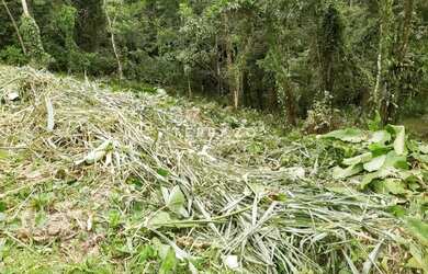 Imagem 2: Terreno plano à venda 16x40 com 640m² por R$ 130.000,00 no Limoeiro,...