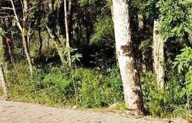 Imagem 4: Terreno para Venda em Nova Petrópolis, Linha Imperial