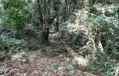 Imagem 15: Terreno à venda em Canela
