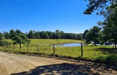 Imagem 5: Sitio - Bairro Saiqui