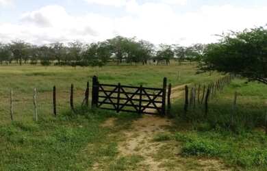 Imagem: A fazenda está localizado em Euclides da Cunha, BA à venda