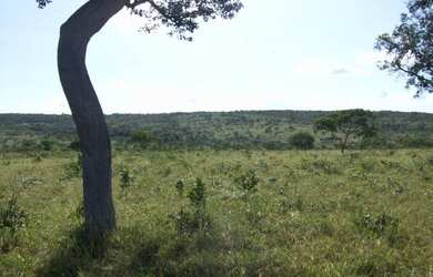 Imagem 9: Fazenda 356,85 ha - Brasilândia de Minas - MG