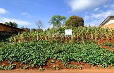Imagem: O terreno está localizado em Correia de Freitas, Apucarana