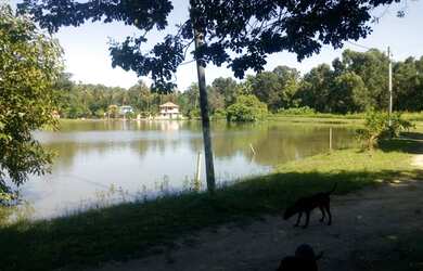 Imagem: O terreno está localizado em Pedra de Guaratiba, Rio de Janeiro