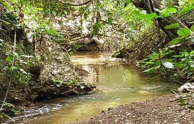 Imagem 15: Jóia Rara Lote nas Mansões de Recreio Estrela Dalva VII com Córrego...