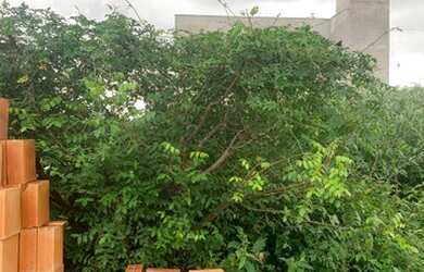 Imagem: O terreno possui 140m² de Área, Imóvel novo e está localizado