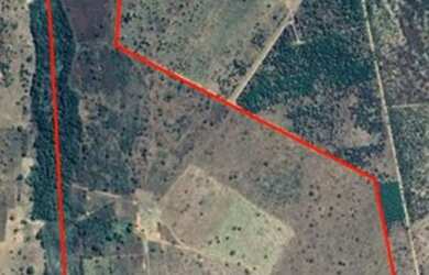 Imagem 3: Fazenda A Venda em Arinos - Mg - 226 Ha - Plana