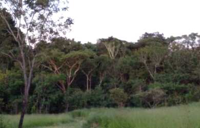 Imagem 12: Jóia Rara Lote nas Mansões de Recreio Estrela Dalva VII com Córrego...