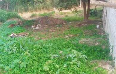 Imagem 1: Terreno. 220m² de Área