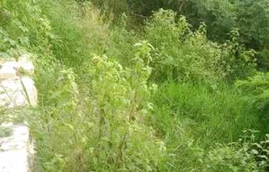 Imagem: O terreno está localizado em Areia Branca, SE à venda por