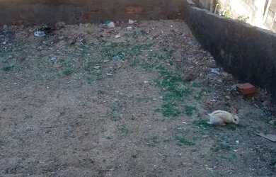 Imagem: O terreno possui 70m² de Área e está localizado em Cohab