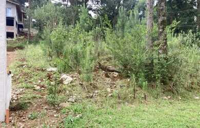 Imagem 11: Terreno - Bairro Dutra. 540m² de Área