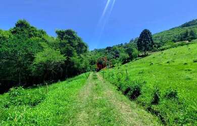 Imagem 14: Sítio à Venda em Gramado