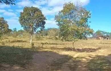 Imagem: A fazenda possui 770.000m² de Área e está localizado em