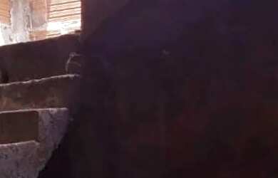 Imagem 2: Casa em rua da amizade. Churrasqueira, Imóvel mobiliadoeAr-condicionado