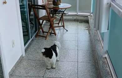 Imagem 10: Apartamento para Venda em Saquarema, Boqueirão, 2 dormitórios, 1 banheiro,...