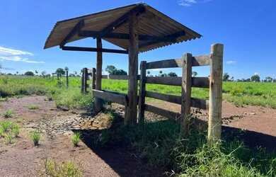 Imagem 2: Fazenda com 1.433 Hectares - IACIARA - GO -R$. 42 Milhões