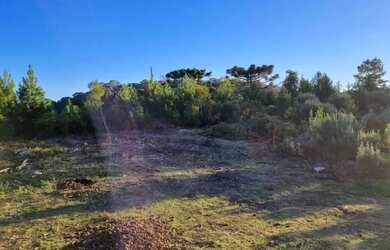 Imagem 3: Terreno - Bairro Santa Terezinha