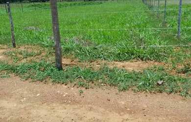 Imagem: O terreno possui 2.000m² de Área e está localizado em Hidrolândia