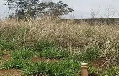 Imagem 16: Lotes Condominio União Militar Setor Goiás Park Goiânia Goiás