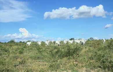Imagem 2: Fazenda 356,85 ha - Brasilândia de Minas - MG