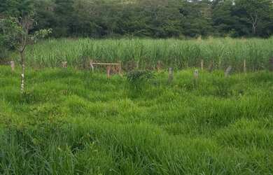 Imagem 1: Imóveis urbanos E Rurais Em Moc e Região Apartir 50.000