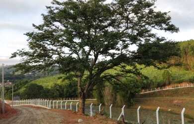 Imagem 7: Lote/Terreno para venda possui 600 metros quadrados em Jardim Brasil -...