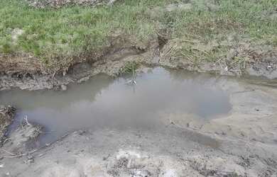 Imagem 1: Chácara 2500m², Córrego, Energia na Porta, Local muito Agradavel- Guapo