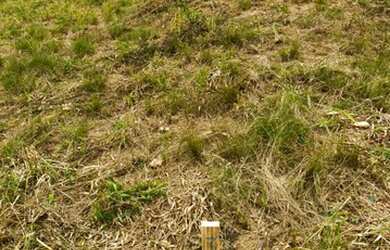 Imagem: O terreno possui 600m² de Área e está localizado em Centro