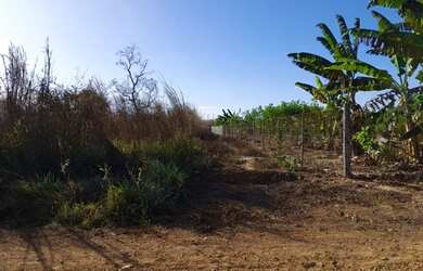 Imagem 3: Chácara Ilha Bella TO-050 Porto Nacional-TO